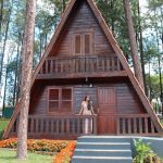 Jual Rumah Segitiga Kayu Jati Modern Aesthetic